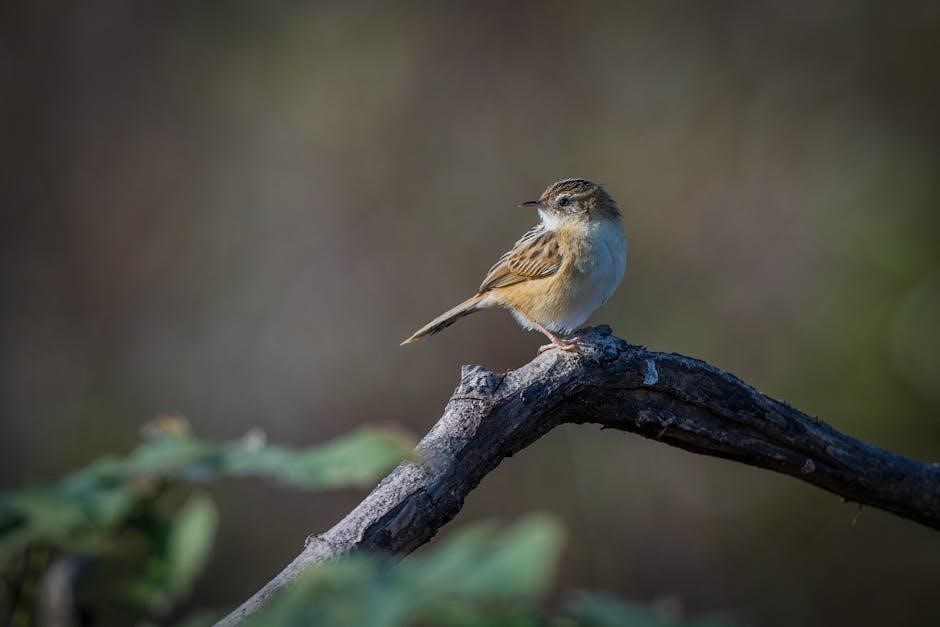 what provides the set of guiding principles for managing wildlife what provides the set of guiding principles for managing wildlife